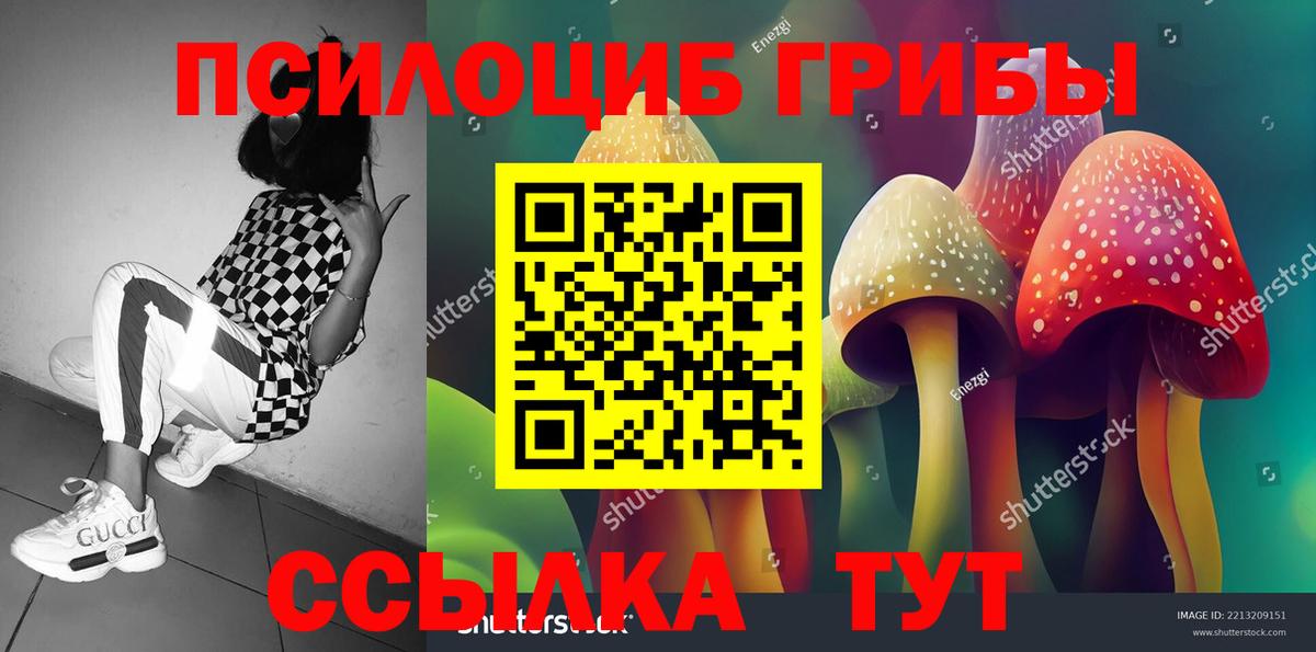 Кирово-Чепецк  Псилоцибиновые грибы мухоморы  как найти наркотики  Вход с VPN 